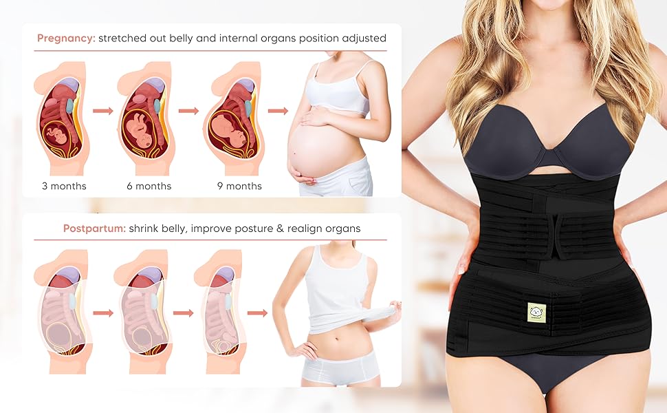 Home of Wellness 3-in-1 Postpartum Belly Belt | Medical-Grade Fabric | Breathable | Skin Friendly| 1 Year Warranty