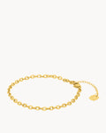 Shimmer Link Anklet
